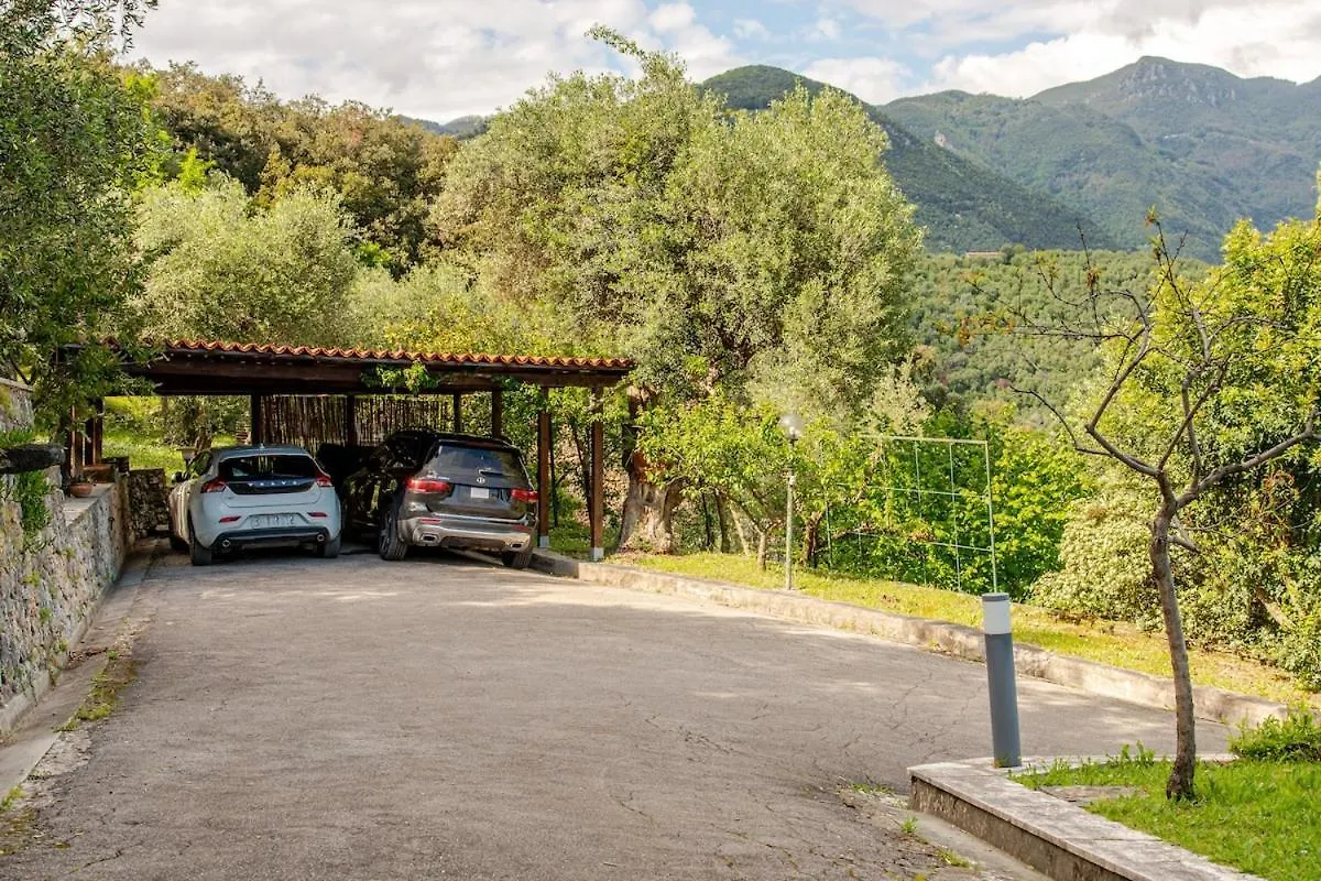 Luxury Villa Olivia With Piscina And Sea View Camaiore